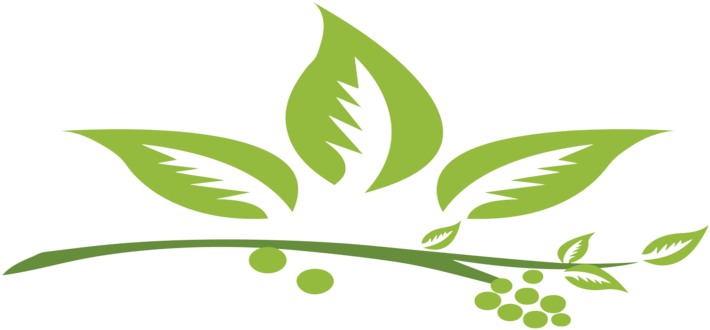Сертификат Natural Сертификат Natural